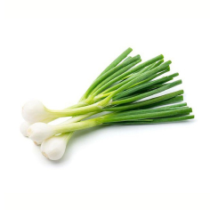 Tender onion