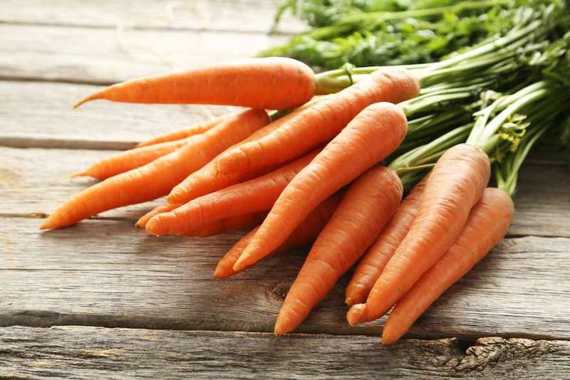 Andalucía supera las 148.000 toneladas de zanahoria
