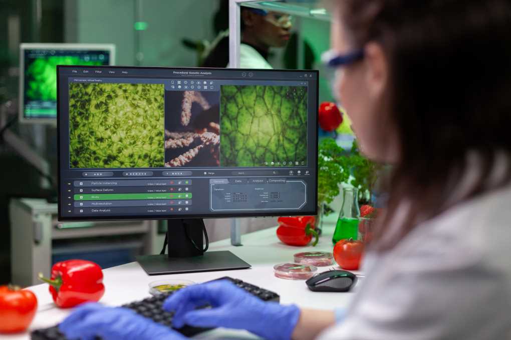 La mejora genética de hortícolas protagoniza un curso de verano de la Universidad de Almería