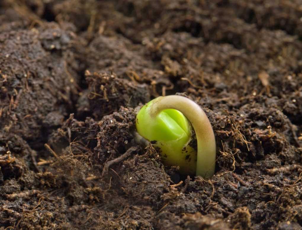 El Gobierno aprueba nuevas normas para favorecer la nutrición sostenible de los suelos agrarios