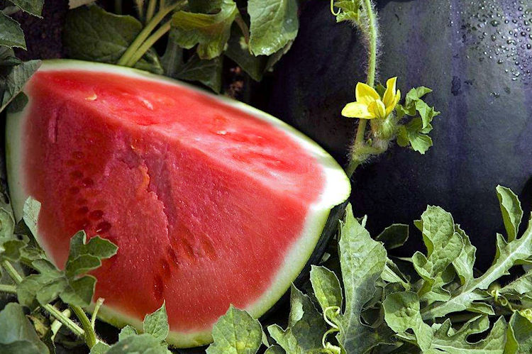 El precio de la sandía creció más del doble desde el agricultor al consumidor en la campaña 2023/2024