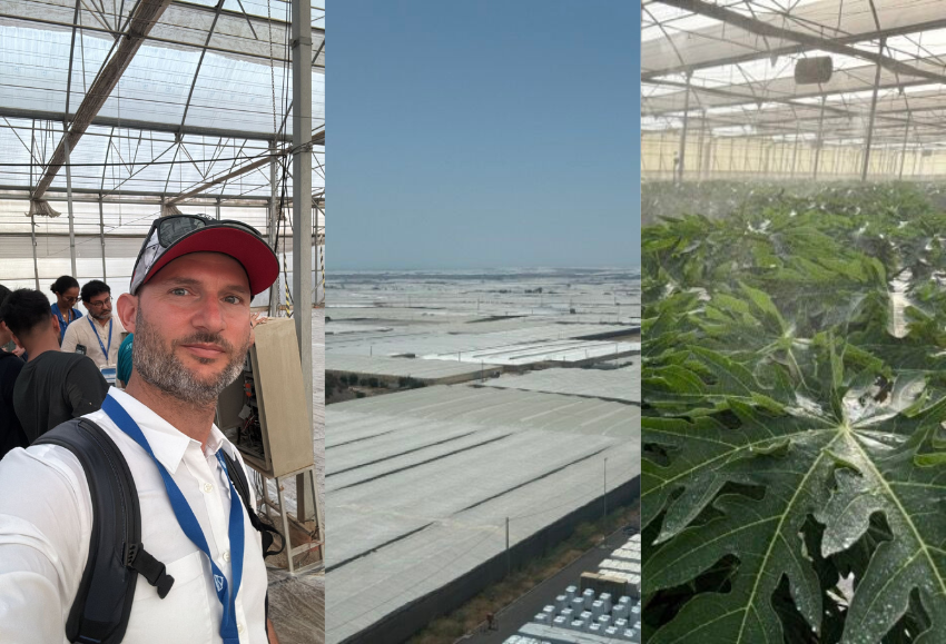 Almería produce el 35% de las frutas y hortalizas frescas comercializadas en la Unión Europea